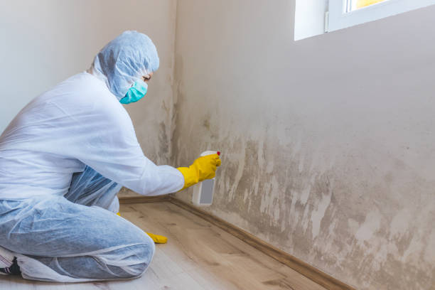 Hvac And Air Duct Mold Remediation inspection of HVAC system in Tyrone